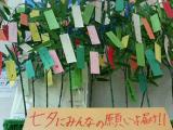 教室紹介