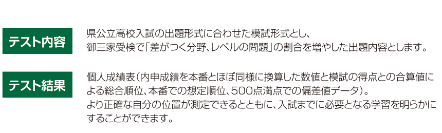 テスト内容