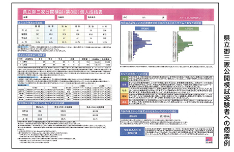 県立御三家公開模試受験者への個票例
