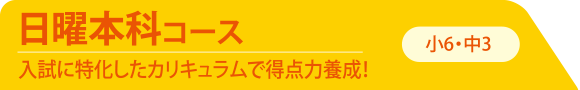 日曜本科コース