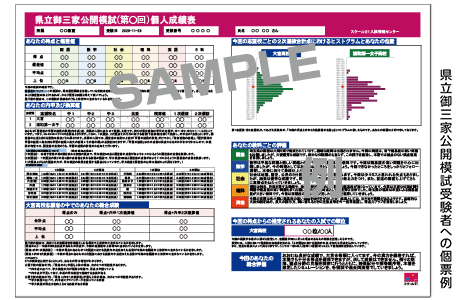 県立御三家公開模試受験者への個票例